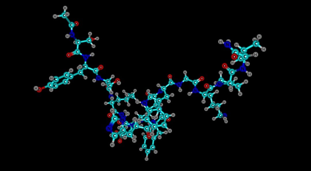 Melanotan II Interactions with Melanocortin Receptors