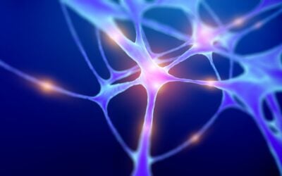 Interactions Between PE-22-28 and Nerve Cells